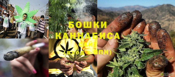 PSILOCYBIN Алексин
