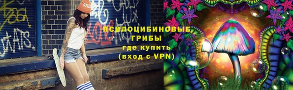 мдпв Алзамай