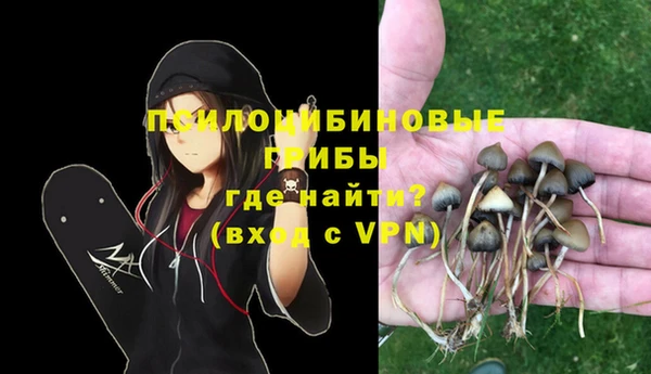 соль ск Абаза