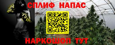 мдпв Ипатово