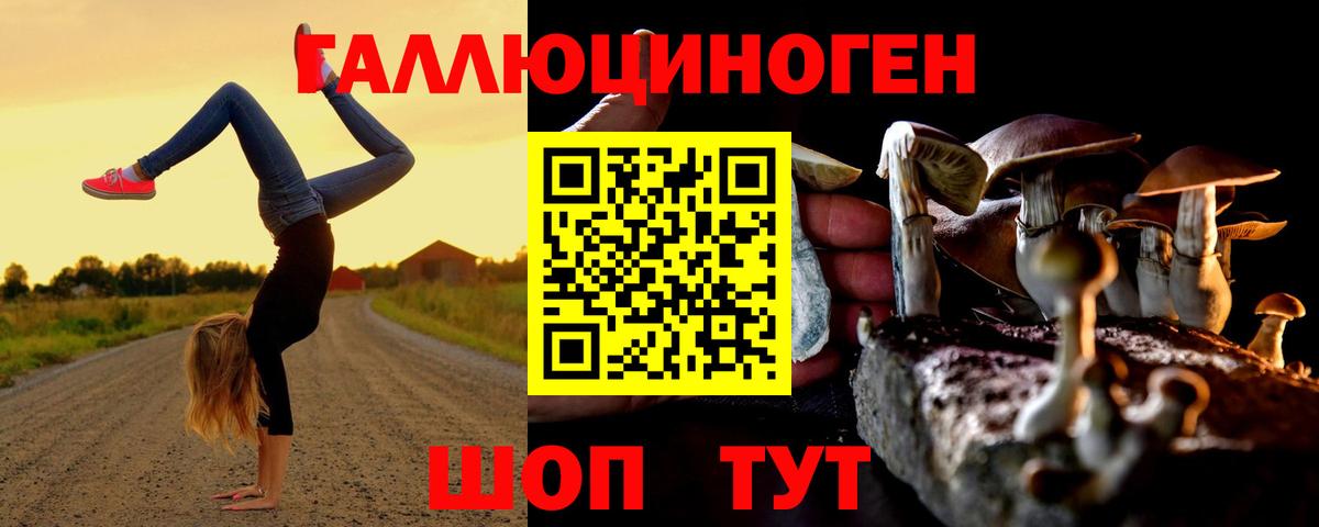 Псилоцибиновые грибы Magic Shrooms Тихвин