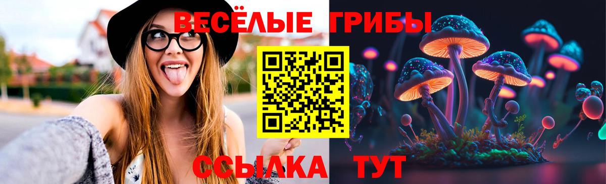 Тихвин  где найти наркотики  Вход с VPN  Псилоцибиновые грибы Magic Shrooms 